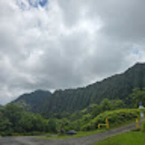 Meet your Posher, Julieta